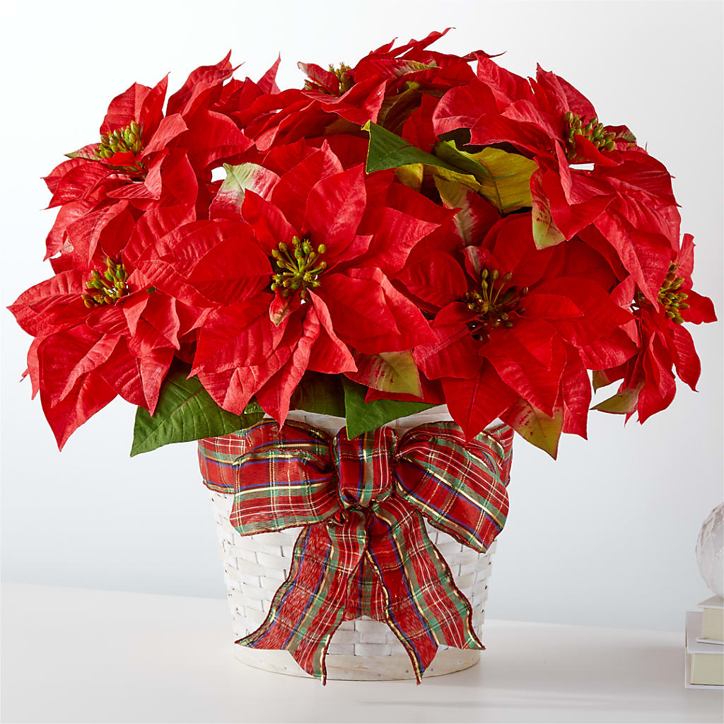 Happiest Holidays Poinsettia – Rita Fleuriste Montreal, Montreal PQ