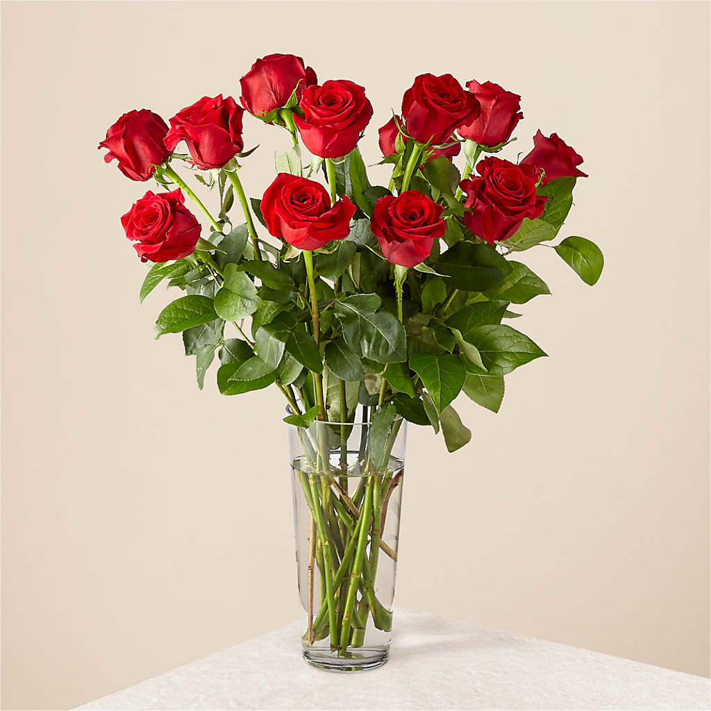 Long Stem Red Rose Bouquet – Rita Fleuriste Montreal, Montreal PQ