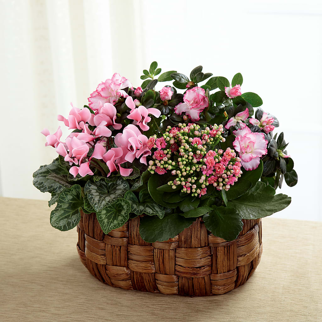 Pink Assortment – Rita Fleuriste Montreal, Montreal PQ