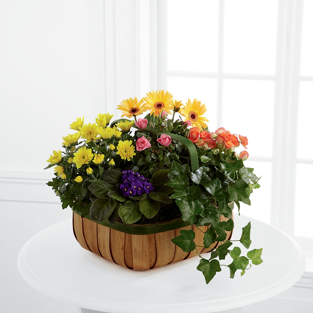 Gentle Blossoms Basket – Rita Fleuriste Montreal, Montreal PQ