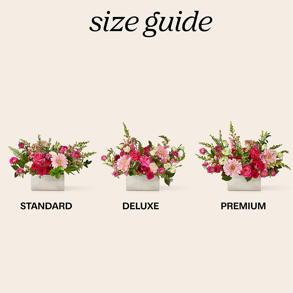 Too Cute Bouquet – Rita Fleuriste Montreal, Montreal PQ