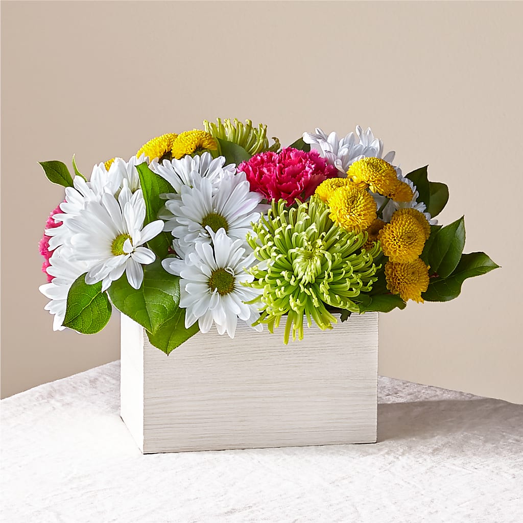 Sorbet Bouquet – Rita Fleuriste Montreal, Montreal PQ