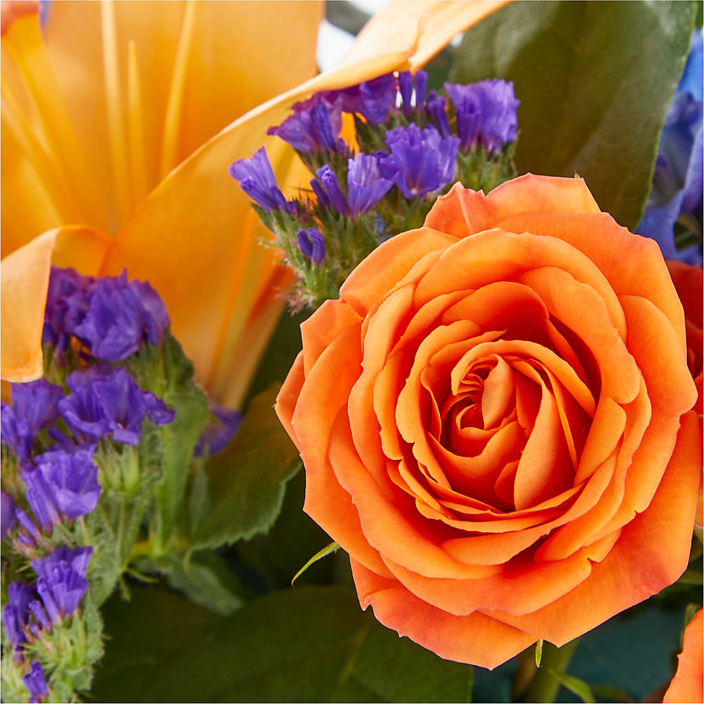 Radiant Citrus Box Bouquet – Rita Fleuriste Montreal, Montreal PQ
