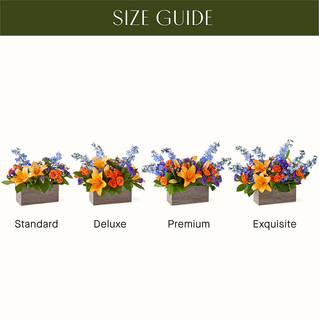 Radiant Citrus Box Bouquet – Rita Fleuriste Montreal, Montreal PQ