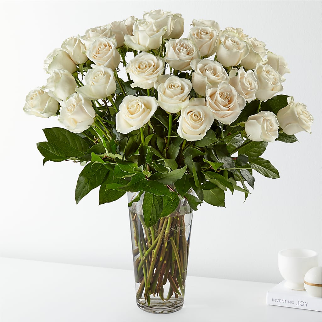 Long Stem White Rose Bouquet – Rita Fleuriste Montreal, Montreal PQ