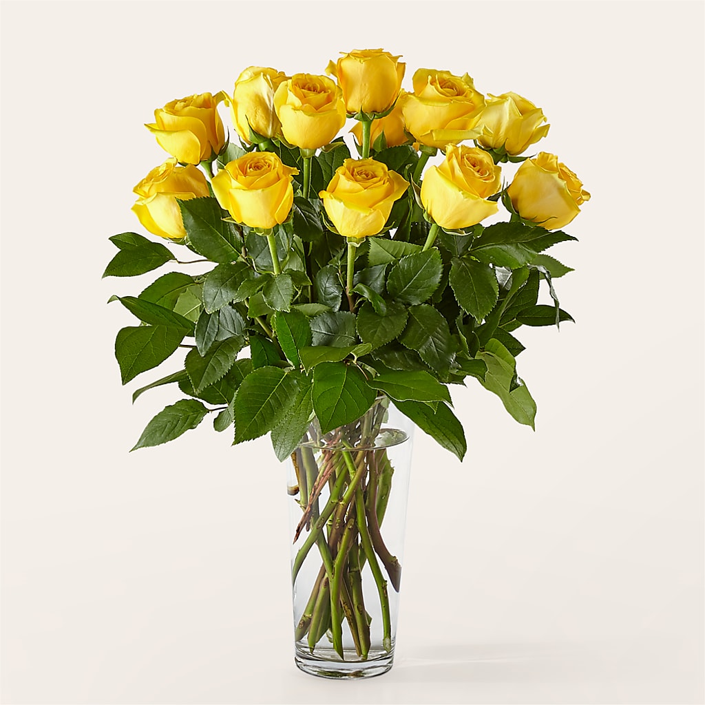 Long Stem Yellow Rose Bouquet – Rita Fleuriste Montreal, Montreal PQ