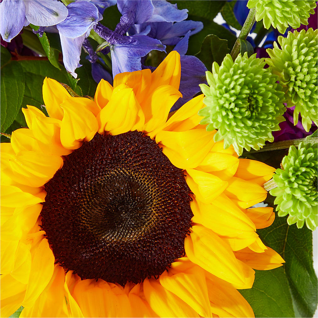 Catching Rays Bouquet – Rita Fleuriste Montreal, Montreal PQ