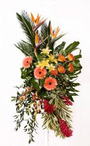 Bouquet de pêches et d'oranges sur pied