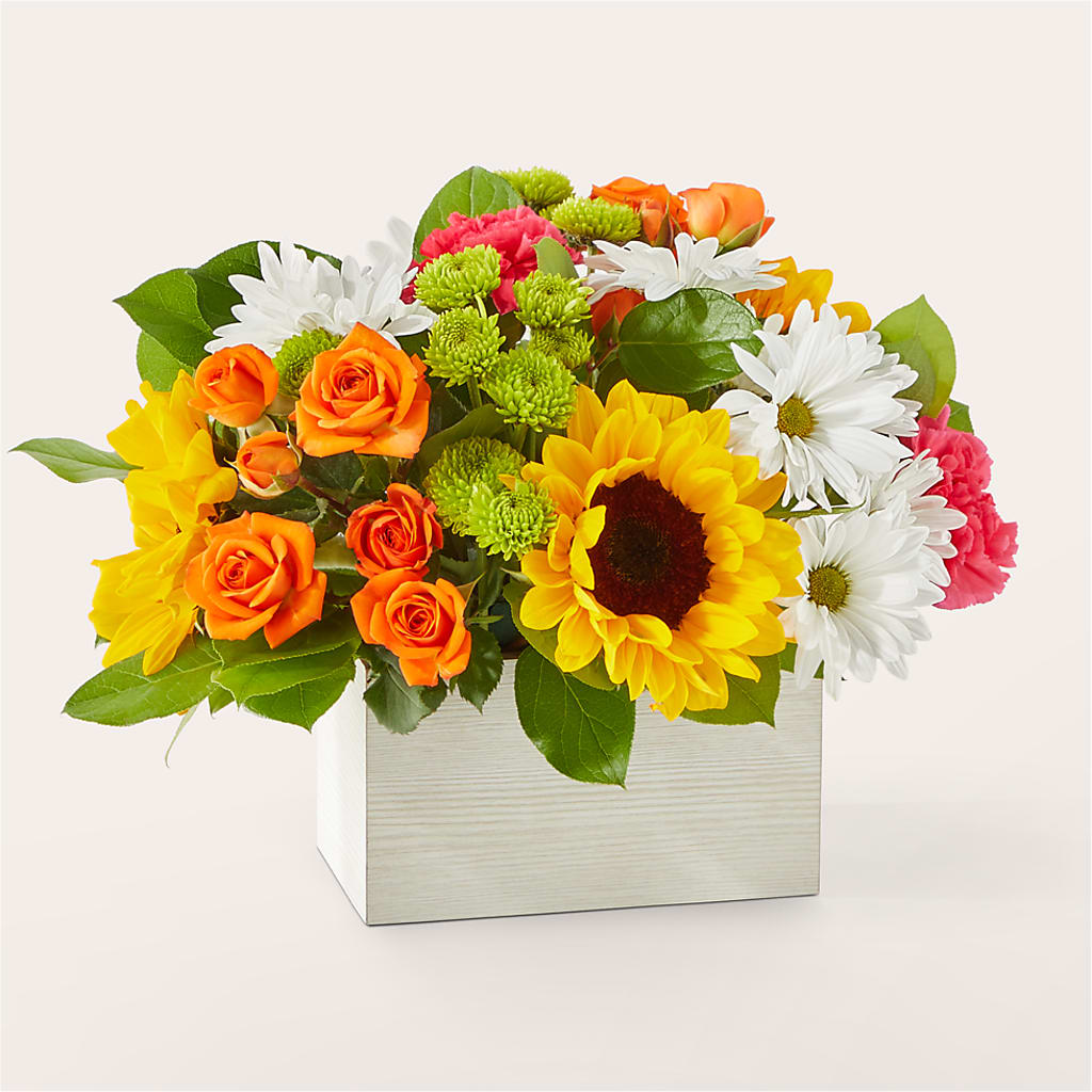 Sun-drenched Blooms Box Bouquet – Rita Fleuriste Montreal, Montreal PQ