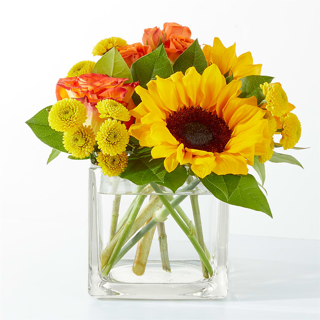 Picnic in the Park Bouquet – Rita Fleuriste Montreal, Montreal PQ