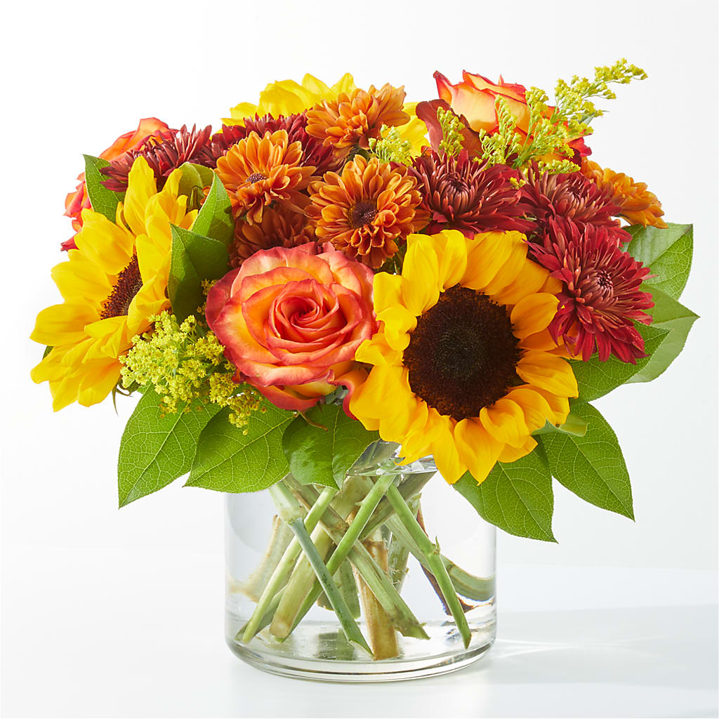 Flannel Scarf Bouquet – Rita Fleuriste Montreal, Montreal PQ