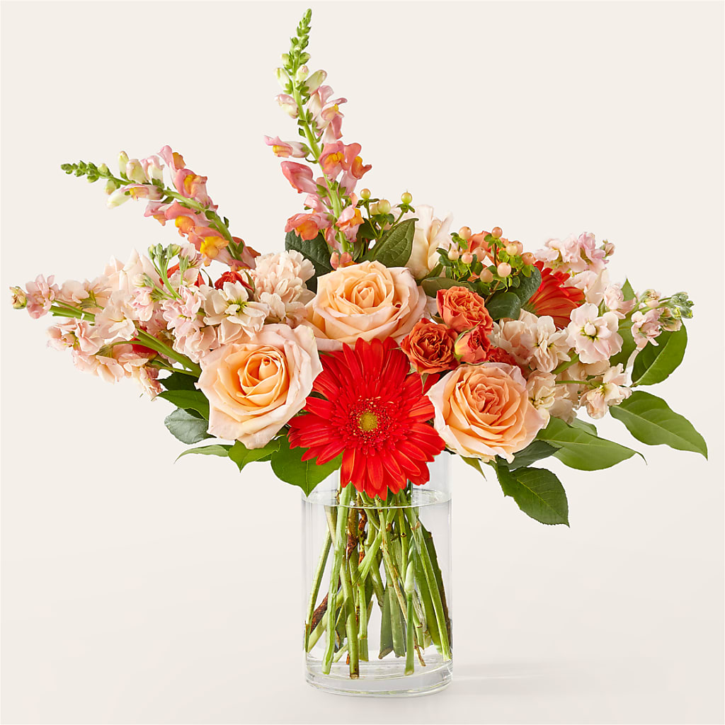Paloma Please Bouquet – Rita Fleuriste Montreal, Montreal PQ