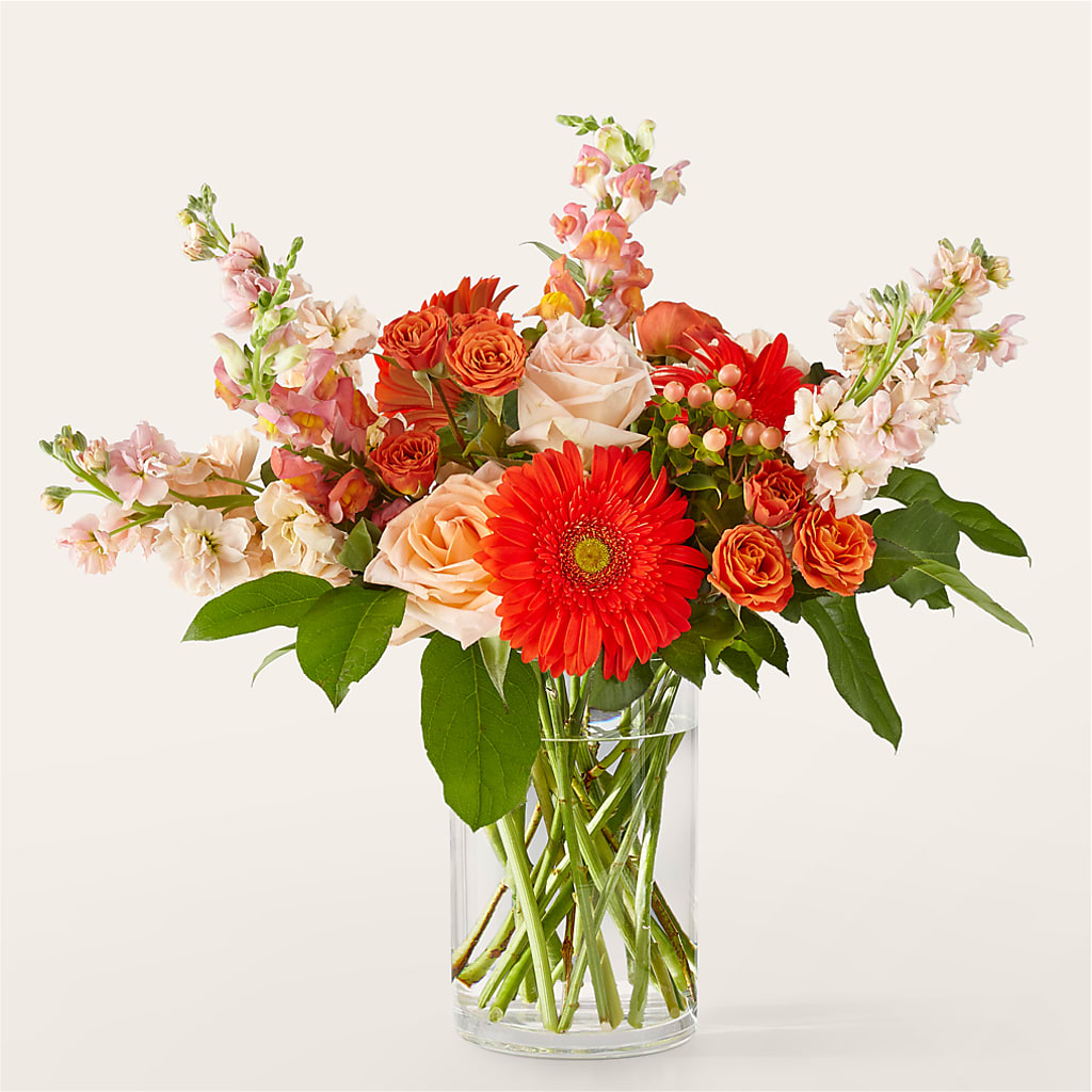 Paloma Please Bouquet – Rita Fleuriste Montreal, Montreal PQ