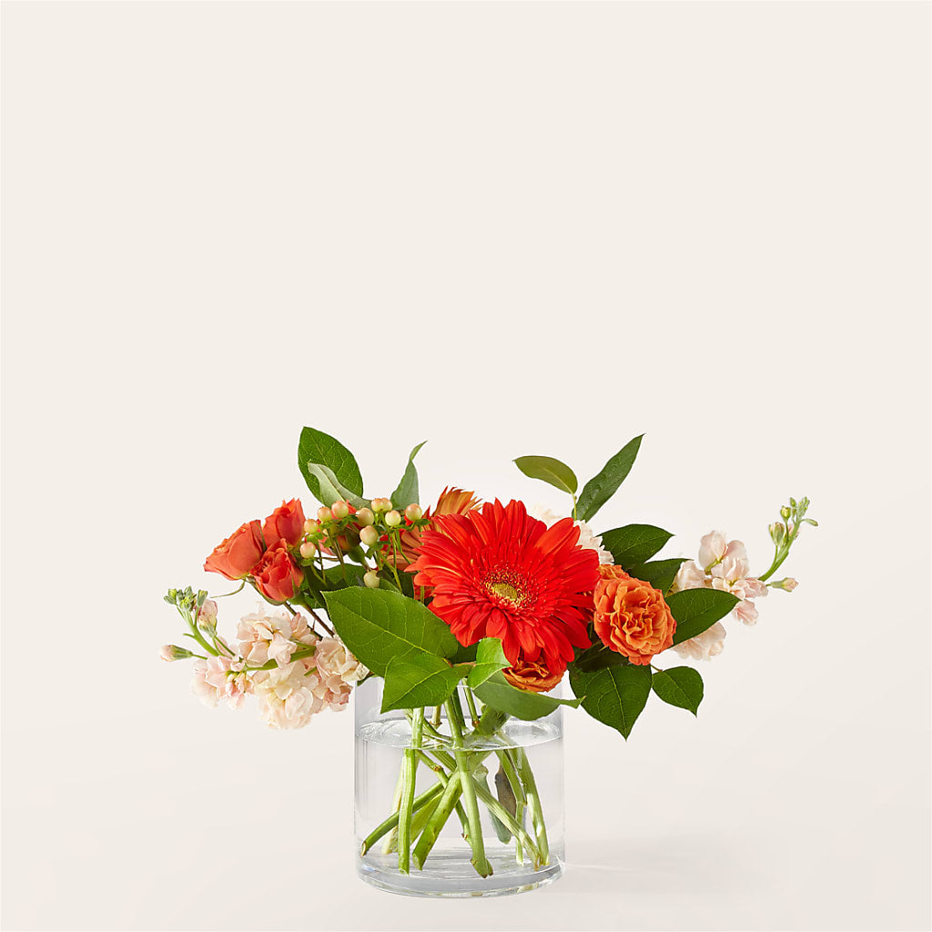 Paloma Please Bouquet – Rita Fleuriste Montreal, Montreal PQ