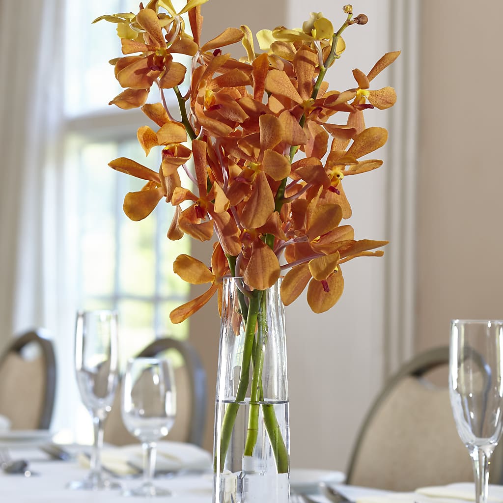 Orange Mokara Bud Vase – Rita Fleuriste Montreal, Montreal PQ