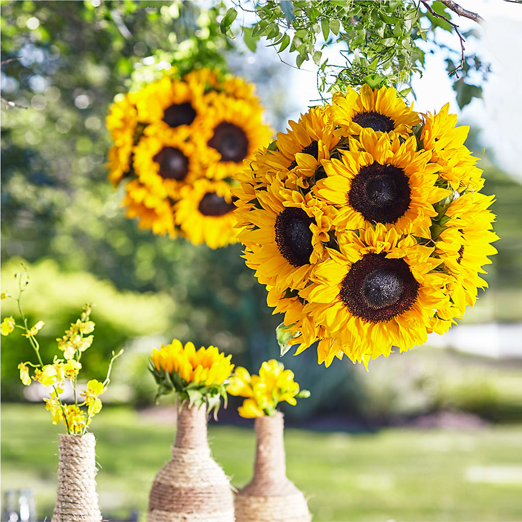 Sublime Garden Hanging Arrangement – Rita Fleuriste Montreal, Montreal PQ