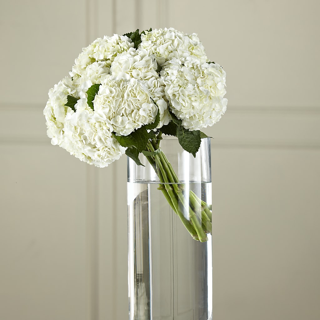 White Hydrangea Hand-Tied Bouquet – Rita Fleuriste Montreal, Montreal PQ