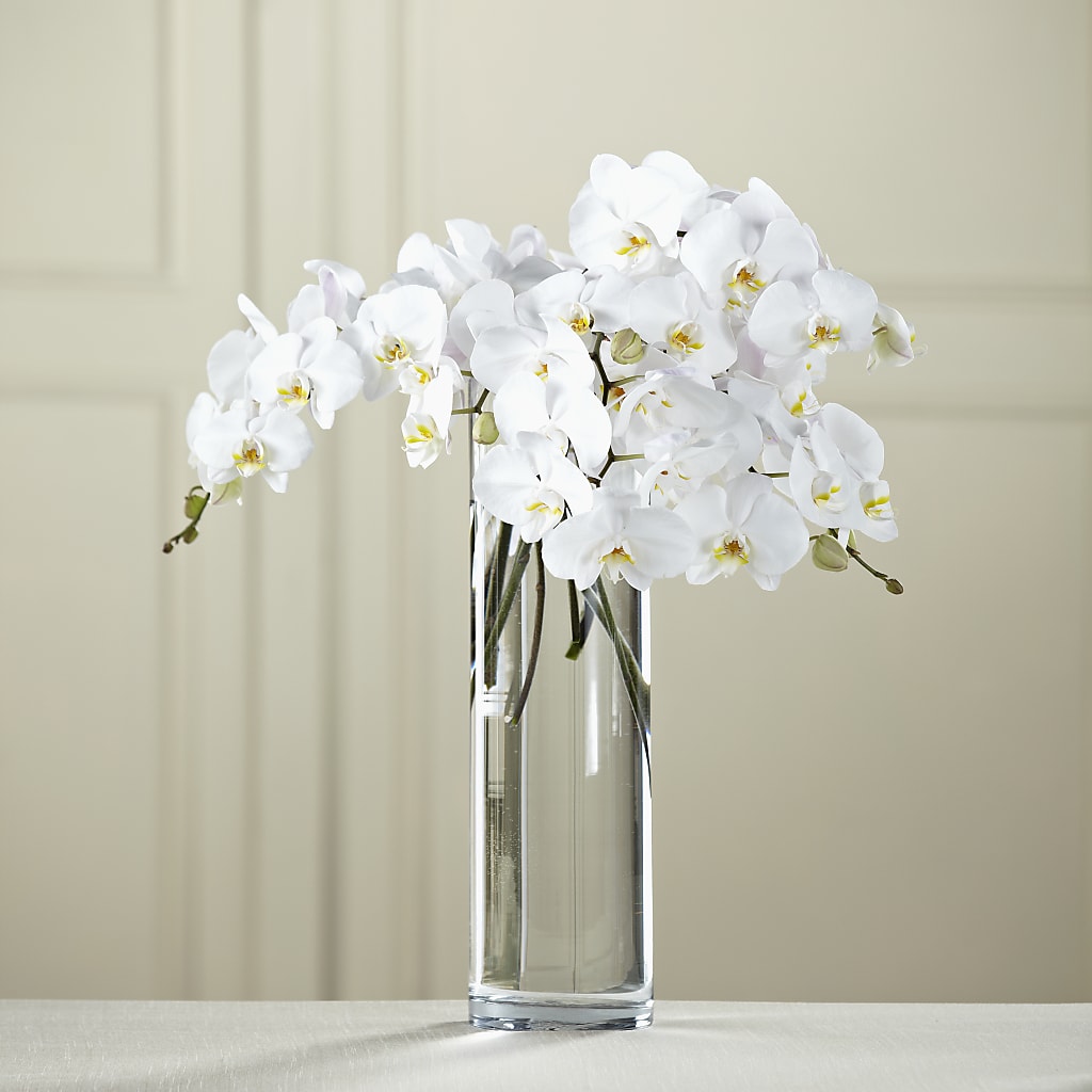White Phalaenopsis Bouquet – Rita Fleuriste Montreal, Montreal PQ