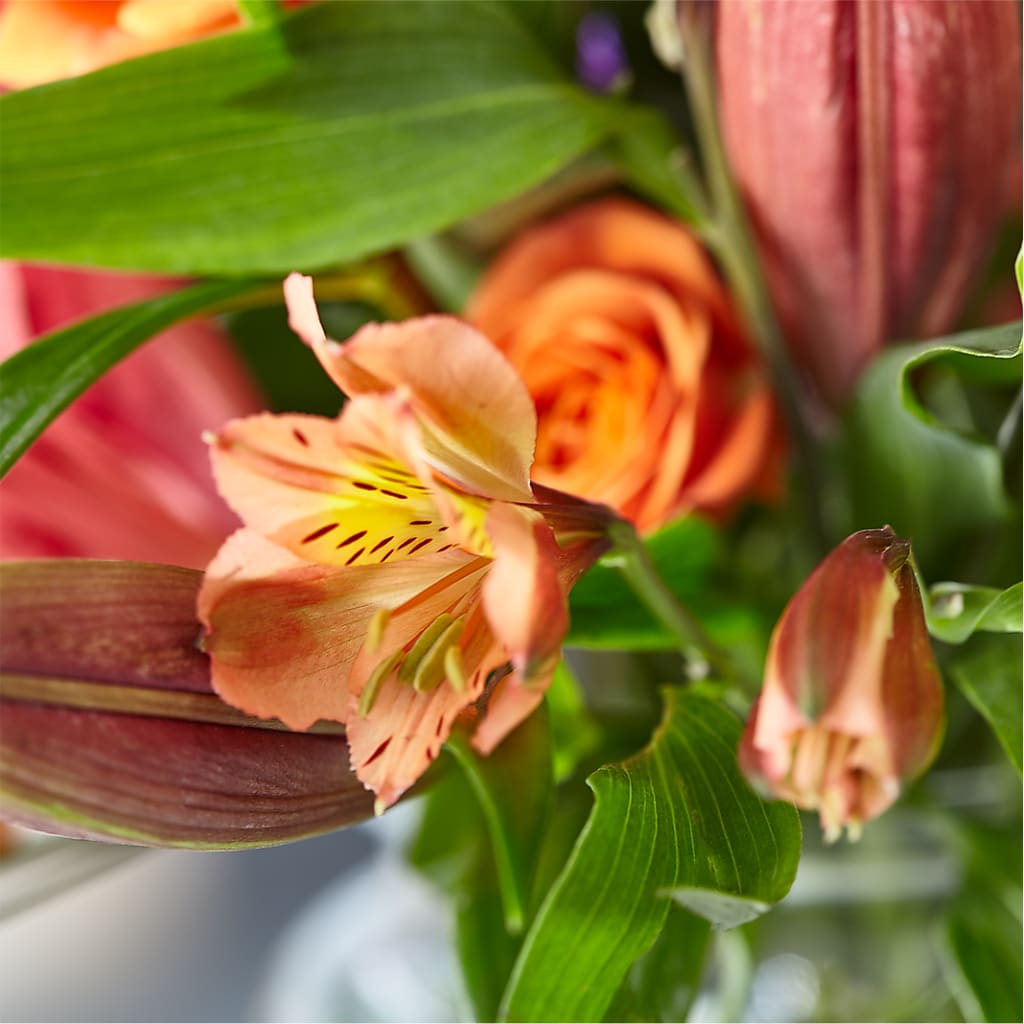 Bold & Bright – A Florist Original –  Rita Fleuriste Montreal, Montreal PQ