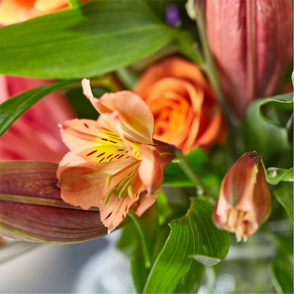 Bold & Bright – A Florist Original –  Rita Fleuriste Montreal, Montreal PQ