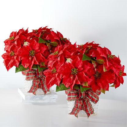 Happiest Holidays Poinsettia Bundle –  Rita Fleuriste Montreal, Montreal PQ