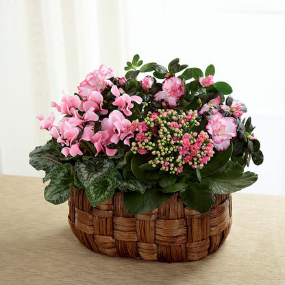 Pink Assortment –  Rita Fleuriste Montreal, Montreal PQ