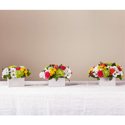 Sorbet Bouquet –  Rita Fleuriste Montreal, Montreal PQ