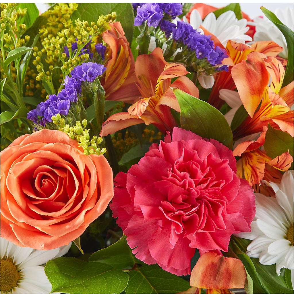 Oopsie Daisy Box Bouquet –  Rita Fleuriste Montreal, Montreal PQ