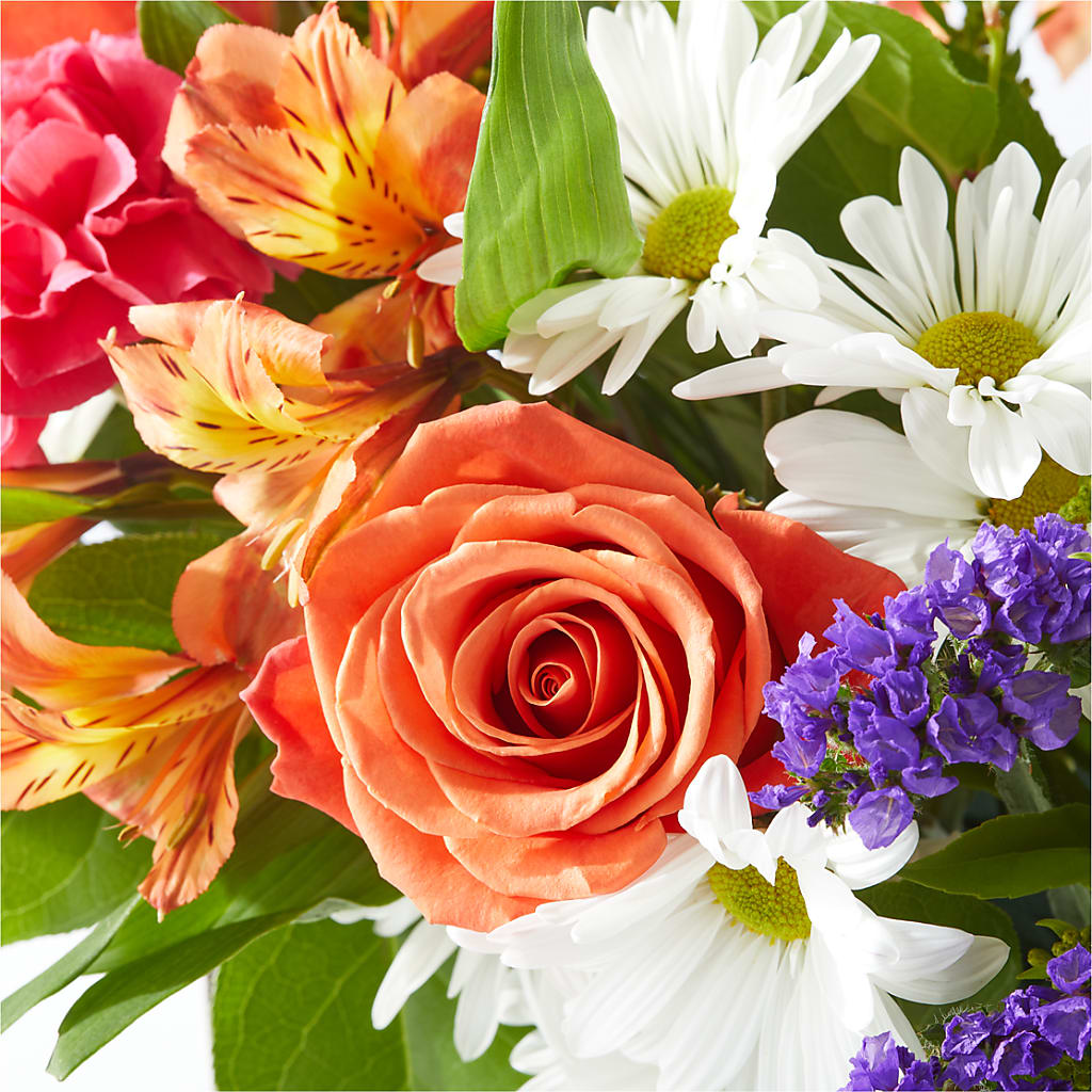 Oopsie Daisy Box Bouquet –  Rita Fleuriste Montreal, Montreal PQ