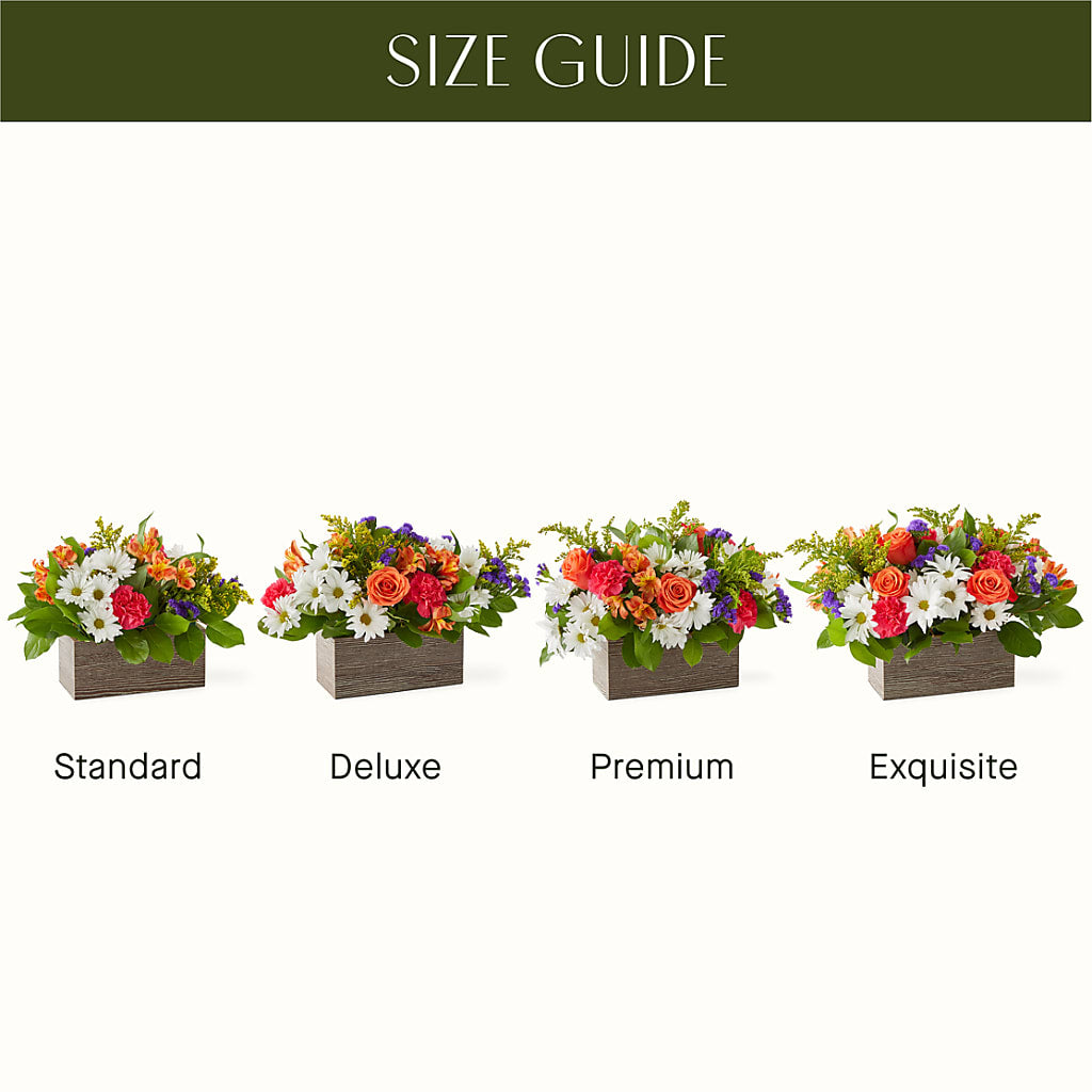 Oopsie Daisy Box Bouquet –  Rita Fleuriste Montreal, Montreal PQ