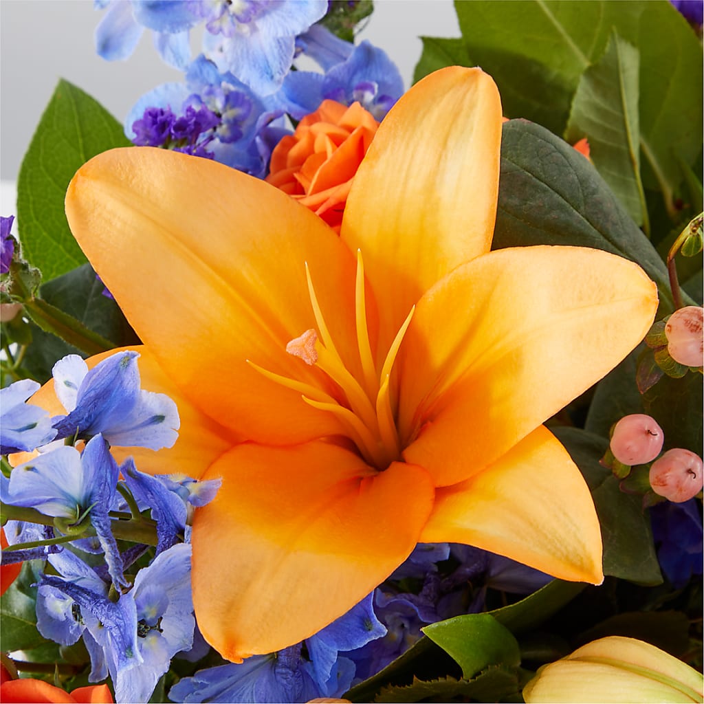 Radiant Citrus Box Bouquet –  Rita Fleuriste Montreal, Montreal PQ
