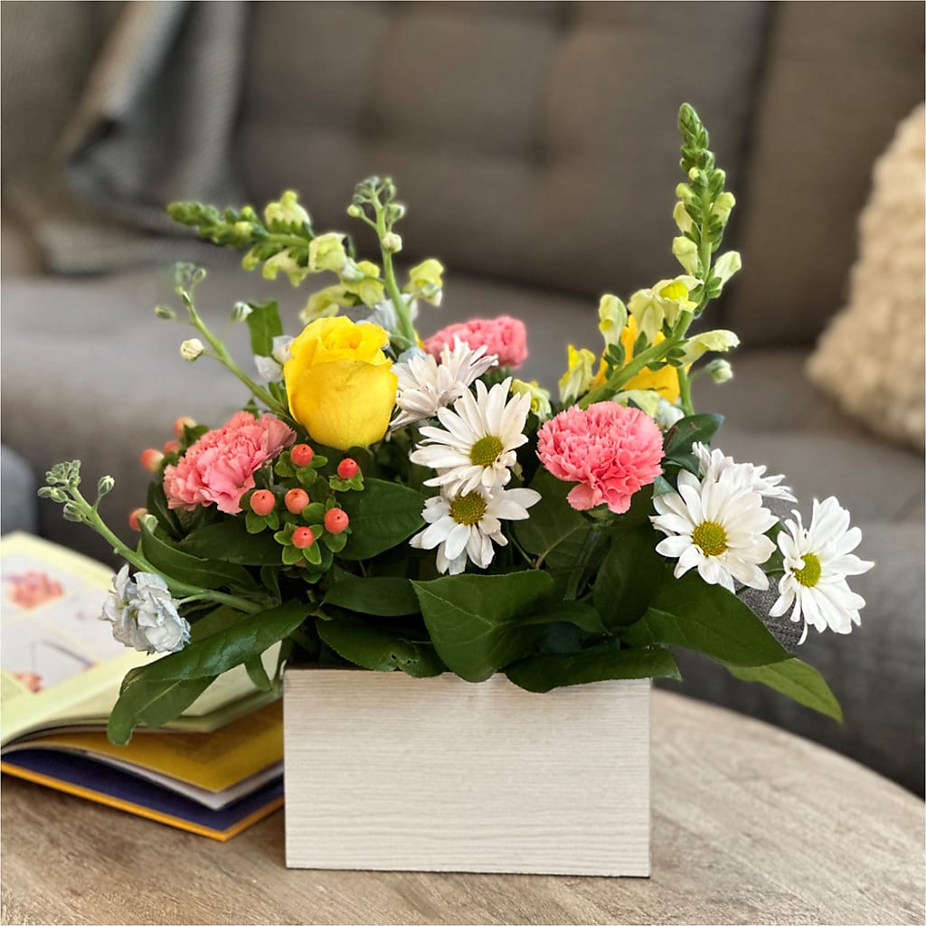 Sun Salutation Box Bouquet –  Rita Fleuriste Montreal, Montreal PQ