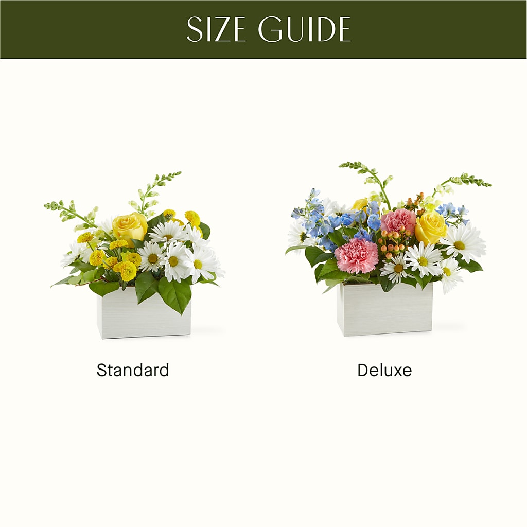 Sun Salutation Box Bouquet –  Rita Fleuriste Montreal, Montreal PQ