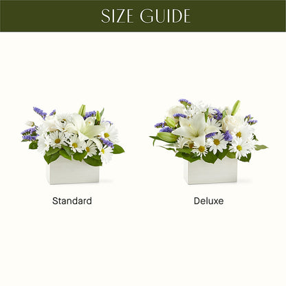 Beyond Blue Box Bouquet –  Rita Fleuriste Montreal, Montreal PQ
