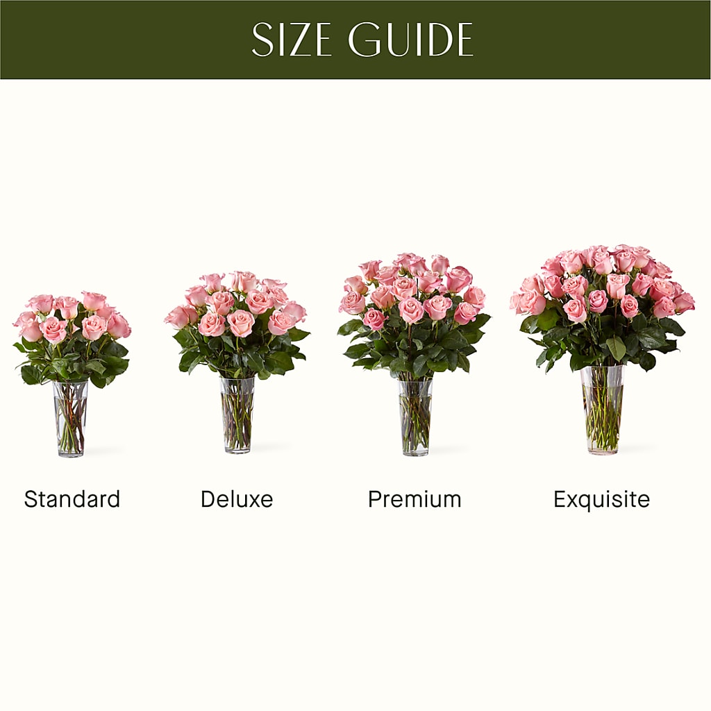 Long Stem Pink Rose Bouquet –  Rita Fleuriste Montreal, Montreal PQ