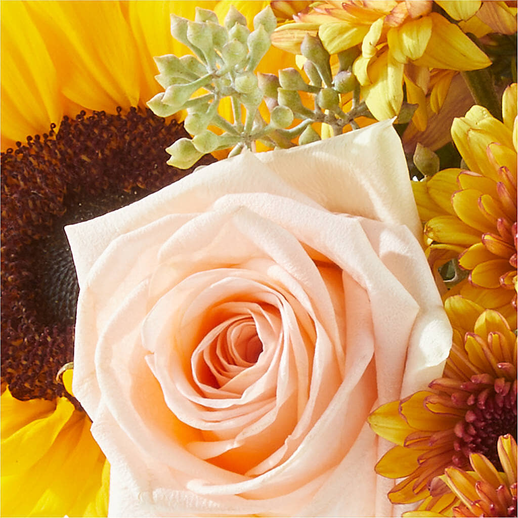 Pumpkin to Talk About Bouquet –  Rita Fleuriste Montreal, Montreal PQ