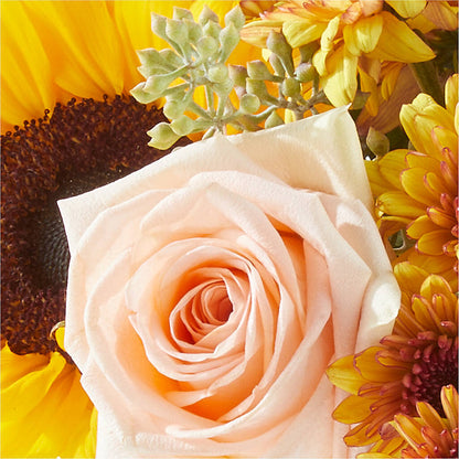 Pumpkin to Talk About Bouquet –  Rita Fleuriste Montreal, Montreal PQ