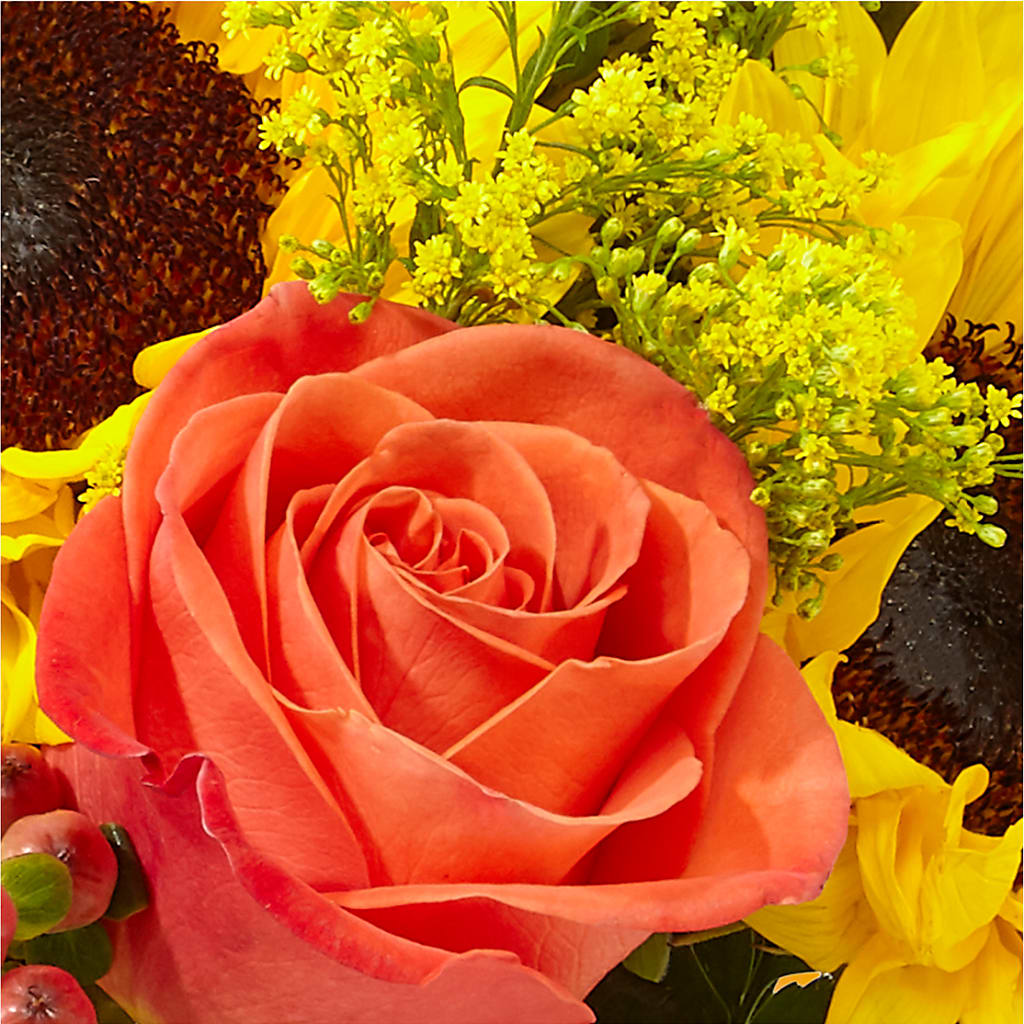 Pick of the Patch Pumpkin Bouquet –  Rita Fleuriste Montreal, Montreal PQ