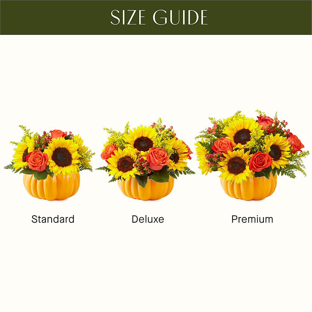 Pick of the Patch Pumpkin Bouquet –  Rita Fleuriste Montreal, Montreal PQ