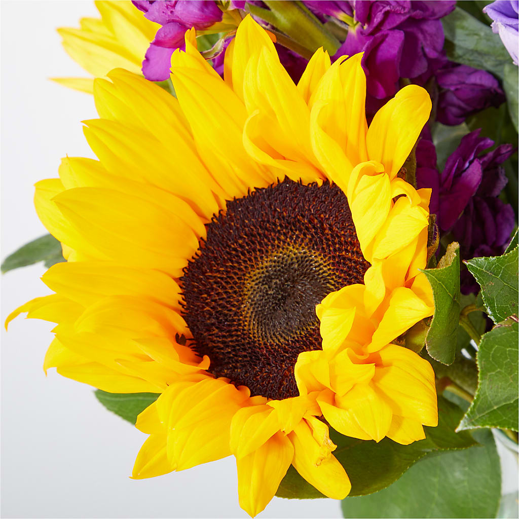 Catching Rays Bouquet –  Rita Fleuriste Montreal, Montreal PQ