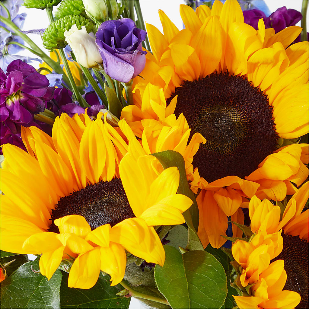 Catching Rays Bouquet –  Rita Fleuriste Montreal, Montreal PQ