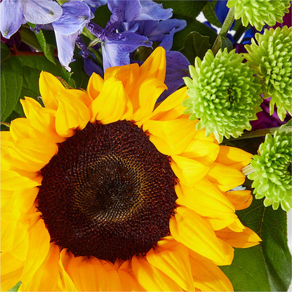Catching Rays Bouquet –  Rita Fleuriste Montreal, Montreal PQ