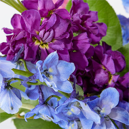 Twilight Glow Bouquet –  Rita Fleuriste Montreal, Montreal PQ
