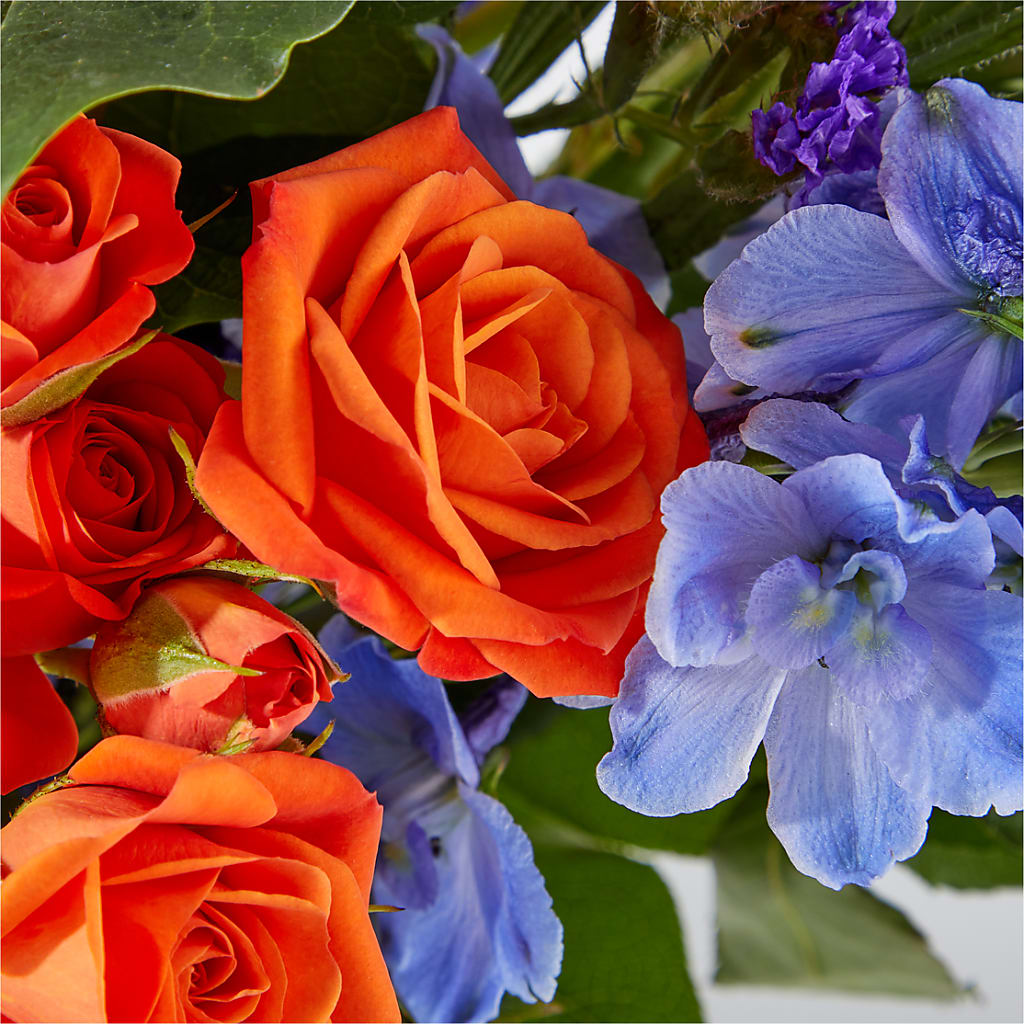 Radiant Citrus Bouquet –  Rita Fleuriste Montreal, Montreal PQ