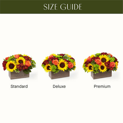 Happy Harvest Garden –  Rita Fleuriste Montreal, Montreal PQ