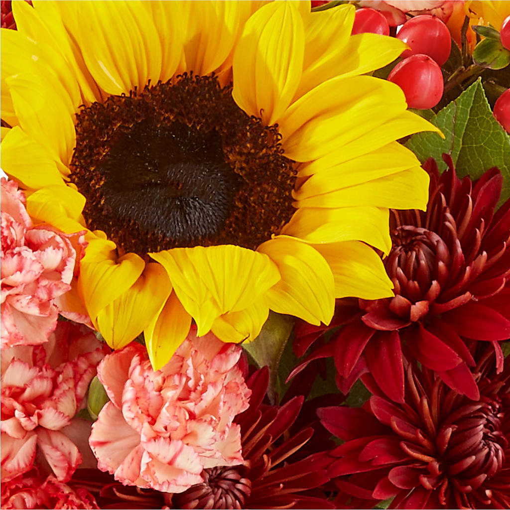 Fresh Cider Bouquet –  Rita Fleuriste Montreal, Montreal PQ