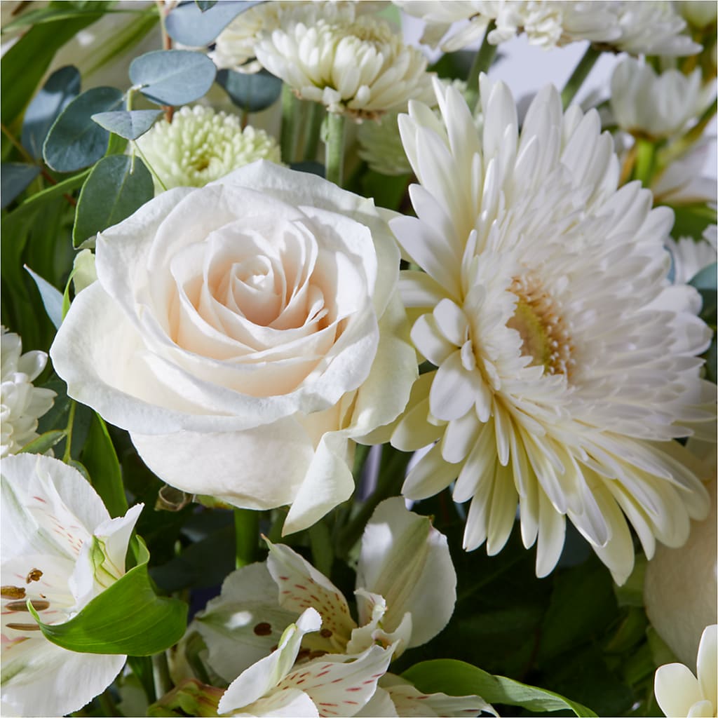 New Beginnings – A Florist Original –  Rita Fleuriste Montreal, Montreal PQ