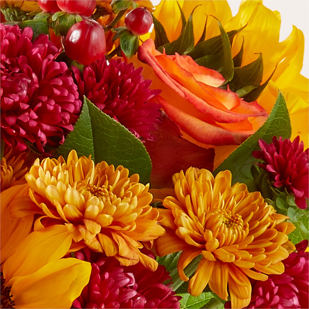 Sweater Season - A Florist Original –  Rita Fleuriste Montreal, Montreal PQ