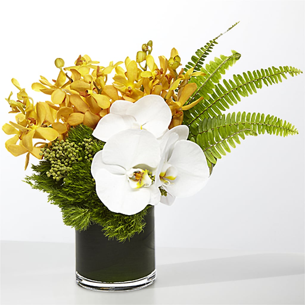 The Tropics –  Rita Fleuriste Montreal, Montreal PQ