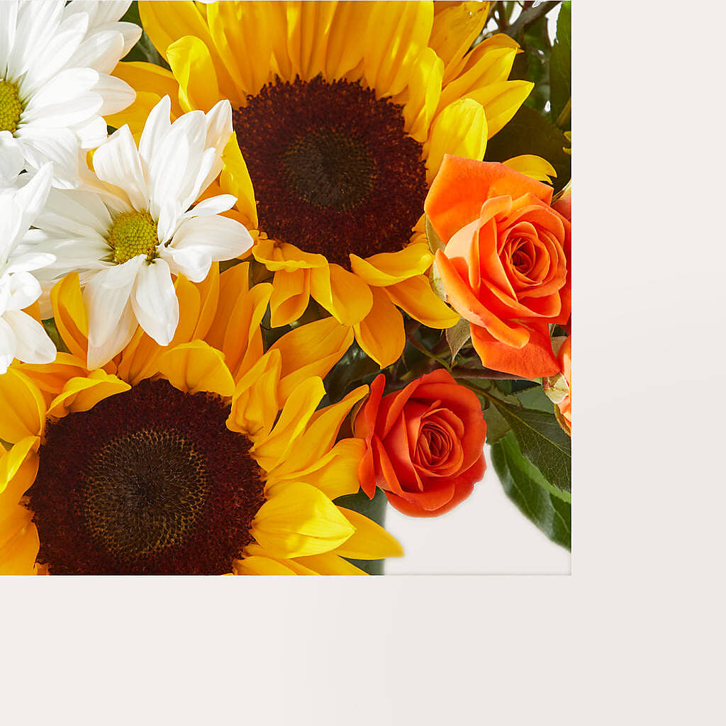 Sun-drenched Blooms Box Bouquet –  Rita Fleuriste Montreal, Montreal PQ
